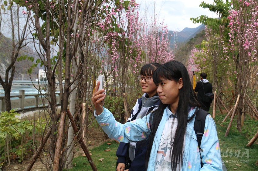 春光俏！“醉”是瀘定春三月，踏青賞花正當(dāng)時(shí)
