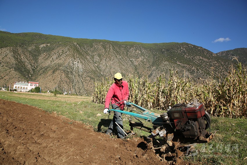 田園藏鄉(xiāng)美如畫，百姓脫貧喜在心