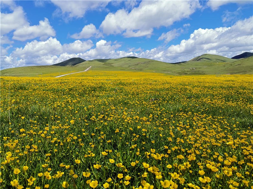 祝?；ê? 任剛.jpg